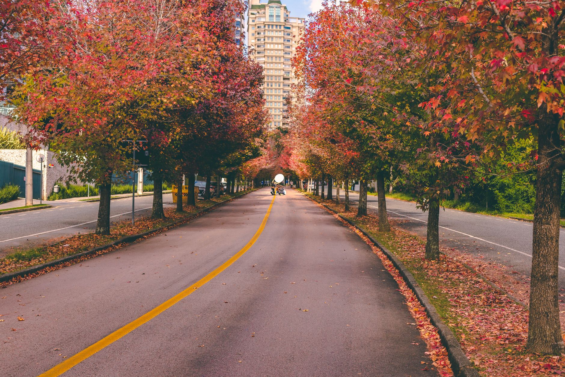 Autumn in the city, early October